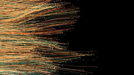 fiber optic cables spread out across the frame.