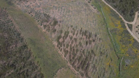 Aerial-view-of-Proença-a-Nova-landscape