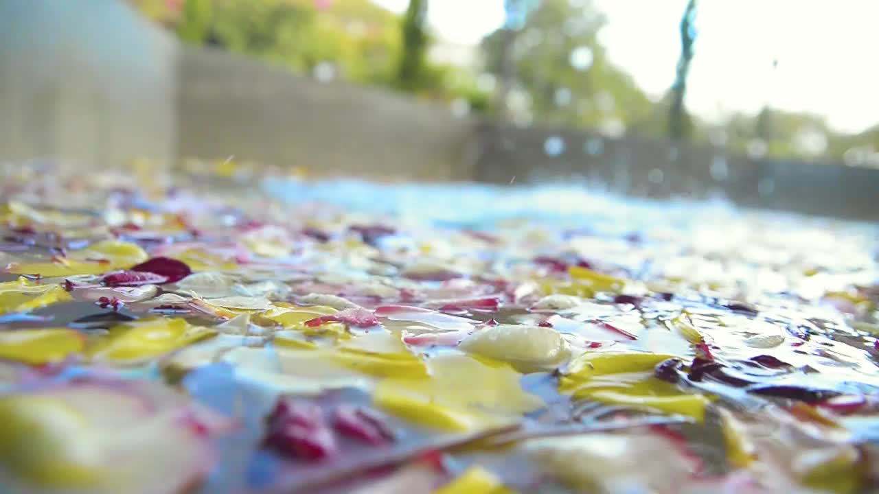 Rose Petals in Water Fountain