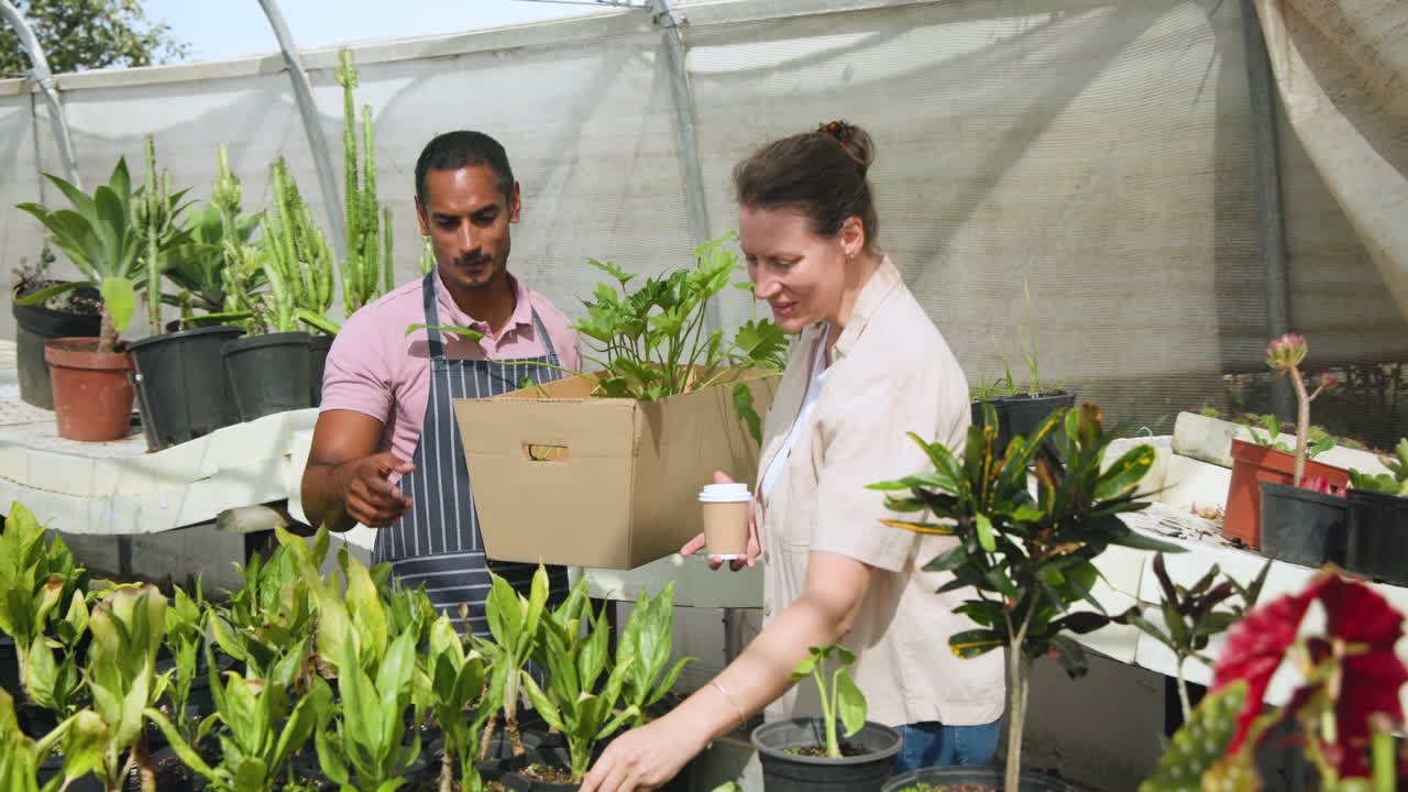 Gardening enthusiasts selecting plants in greenhouse, discussing choices and options