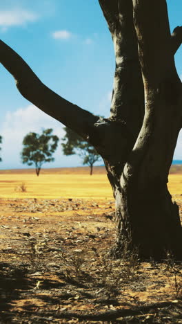 vibrant landscape with a lone tree standing tall under a brilliant blue sky