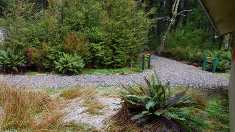 Weicher-Schwenk-über-Eine-Hütte-Im-Wald-Bei-Regen-Im-Kepler-Treck,-Neuseeland