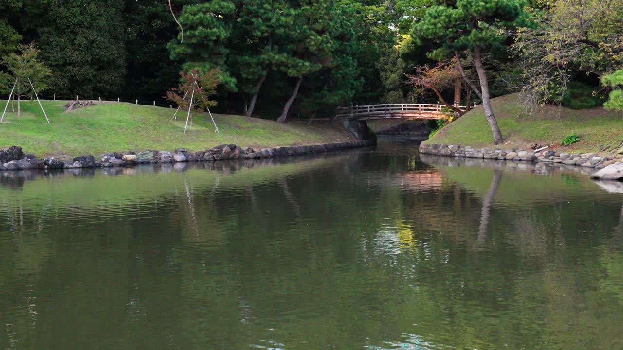 A serene view of a calm stream flowing through a lush Japanese garden, featuring a charming traditional bridge. Peaceful nature scene.