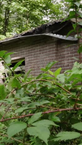 abandoned brick building in a forest