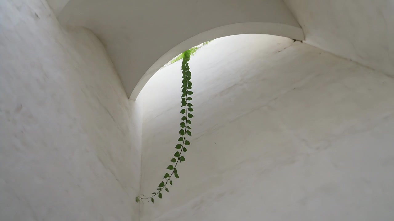 Spostamento della telecamera che fa sì che una vite verde si srotoli e oscilli in un condotto di intonaco, mostrando un'apertura ad arco.
