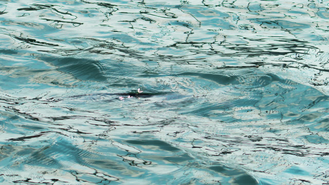 The surface of calm sea water, sparkling in the sun