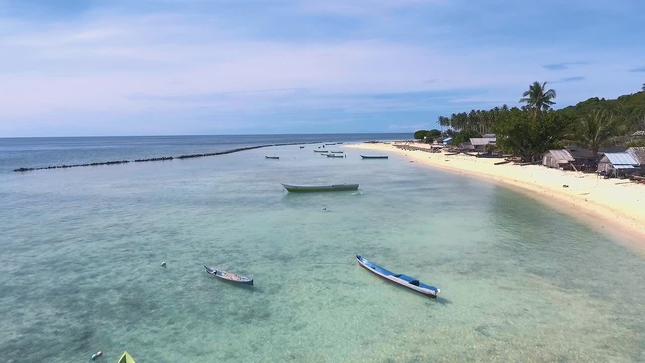 Aerial View of a Tropical Island Beach with Boats