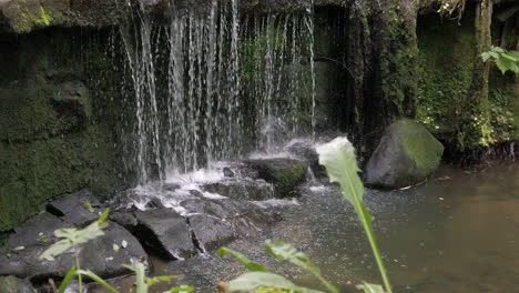 Bosque-Pacífico-Cascada-Zen-Cámara-Lenta-Cascada-De-Agua-Fresca-Que-Fluye-Lento-Tiro-Ascendente