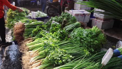 fresh vegetables being sorted at a busy market