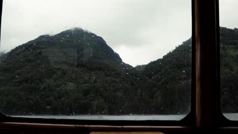 Selva-Peulla-Desde-La-Ventana-Del-Barco