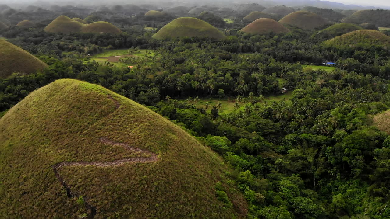 공중 패닝 보기: 필리핀 보홀의 초콜릿 언덕 가까이
