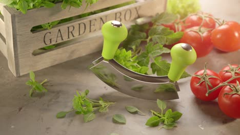 cinemagraph fresh garden herbs and mezzaluna knife with wooden box