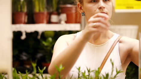 beautiful woman arranging ornamental bamboo