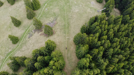 Drone-Aéreo-Siguiendo-A-Un-Ciclista-Montando-En-Un-Largo-Sendero-Para-Bicicletas-En-La-Ladera-Cubierto-De-Abetos