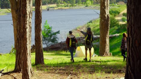 Vista-Trasera-De-Un-Grupo-De-Amigos-Caminando-Por-El-Bosque-4k