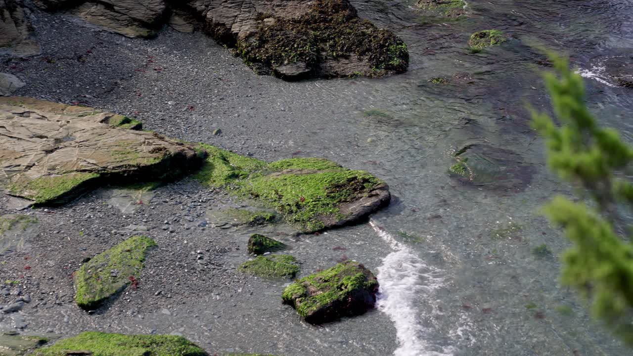 Acque costiere poco profonde scorrono dolcemente su una costa rocciosa con pietre coperte di muschio e alghe con la bassa marea