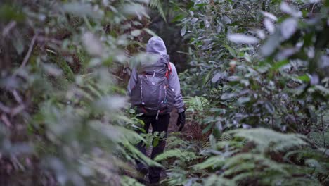 Einheimisches-Australisches-Mädchen,-Das-Durch-Dichte-Farne-Spaziert,-Während-Es-Mit-Dem-Rucksack-Durch-Den-Blue-Mountains-Nationalpark-Wandert