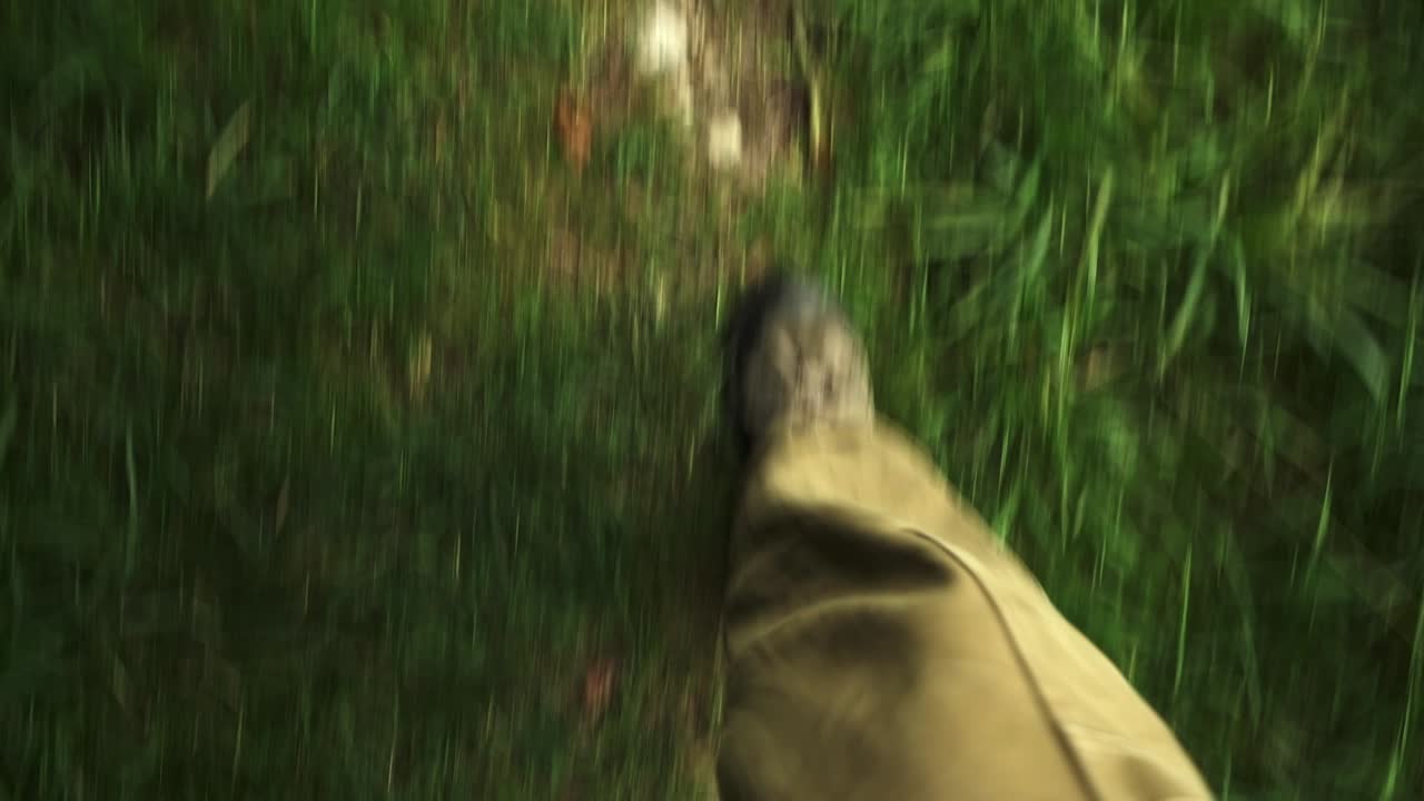 Walking the green trail on Way of St. James, peaceful and reflective