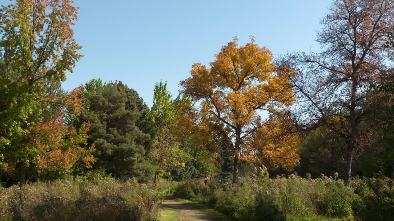 gente en la distancia dando un paseo por un parque en boise, idaho con colores de otoño