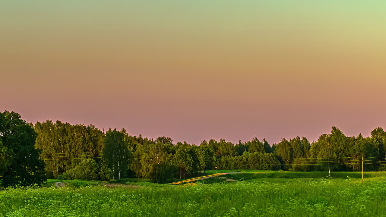 таймлапс машущих деревьев и растений во время заката, когда природа сменяется ночью