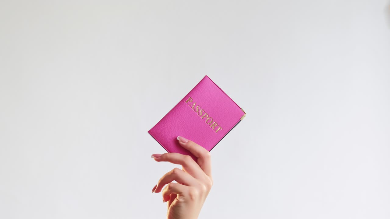 control de pasaportes mundo viaje mano turista conjunto 4