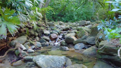 Aerial-view-over-a-stream-flowing-through-a-dense-and-lush-forest,-in-Colombia,-on-a-rocky-ground