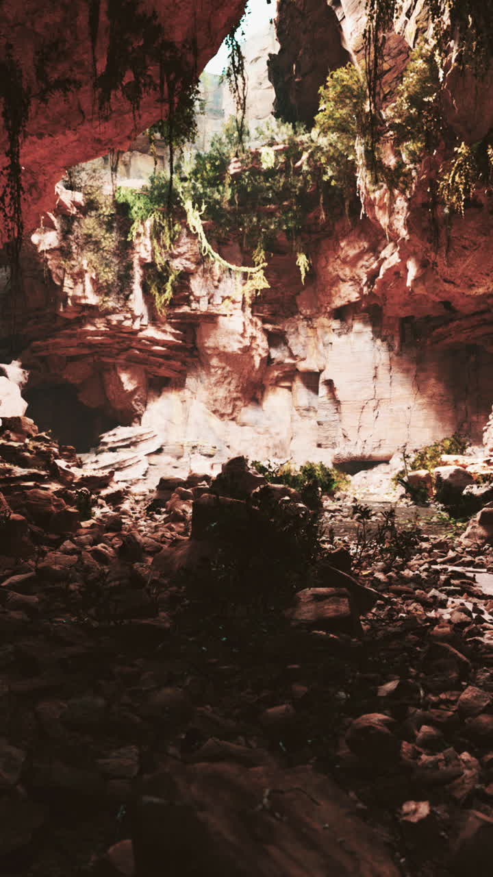 una vista a una cueva exuberante