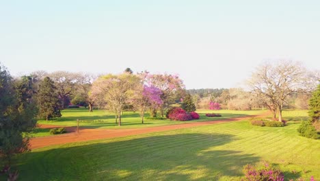 garden in bloom