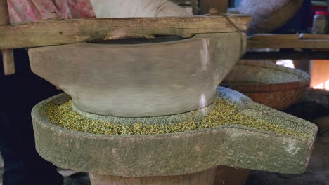 un primer plano de una mujer usando una piedra de molino girada a mano para moler el frijol verde