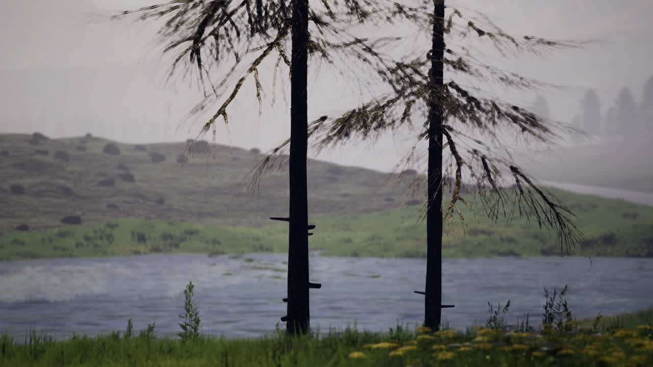 Reflections of nature in a serene lakeside landscape at dawn