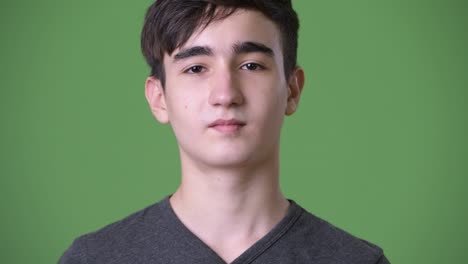 young handsome iranian teenage boy against green background