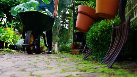 Gardener-carrying-plants-in-wheelbarrow