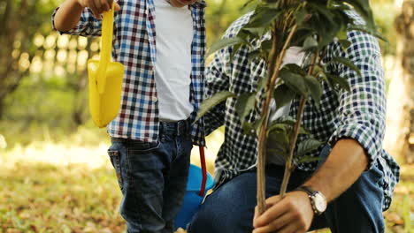 Closeup.-Portrait-of-a-little-boy-and-his-dad-planting-a-tree.-Man-takes-the-tree-and-puts-it-into-the-hole.-The-boy-plays-with-his-spade.-Camera-moving-up.-Blurred-background