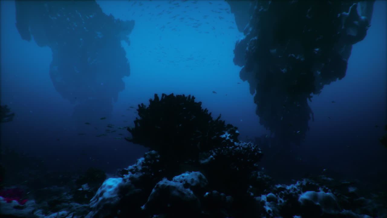 explorando el vibrante mundo submarino con formaciones de coral y vida marina