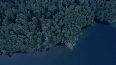 Luftaufnahme---Mascardi-See-Und-Wald,-Neuquén,-Patagonien,-Argentinien,-Von-Oben-Nach-Unten-Nach-Vorne