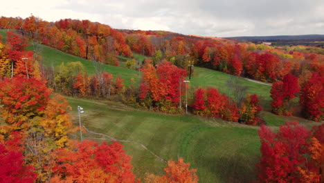 fly over bright red and orange coloured trees that stand out against green field