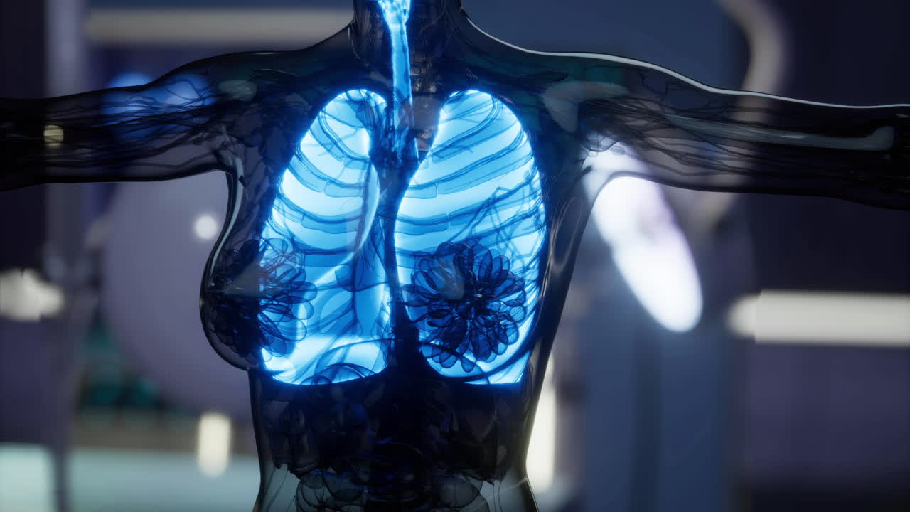 Illustration of human lungs showcasing respiratory anatomy