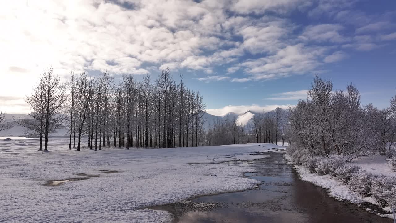 Snowy landscape in Iceland with trees and mountains in the background