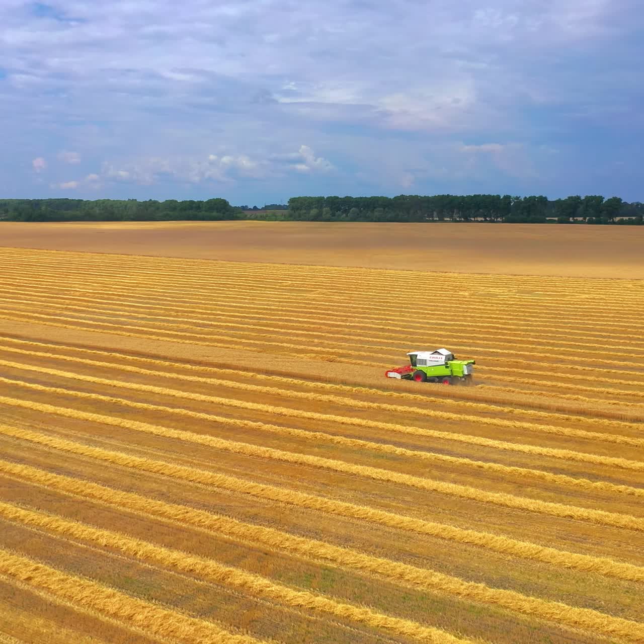 Combine harvester working on a wheat field. Combine harvester Aerial view
