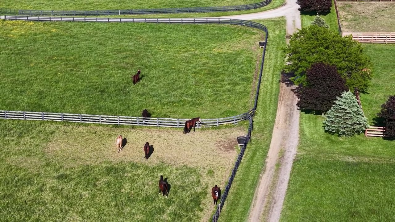 Top down aerial view of a small horse herd gathered inside a fenced paddock beside a farm lane