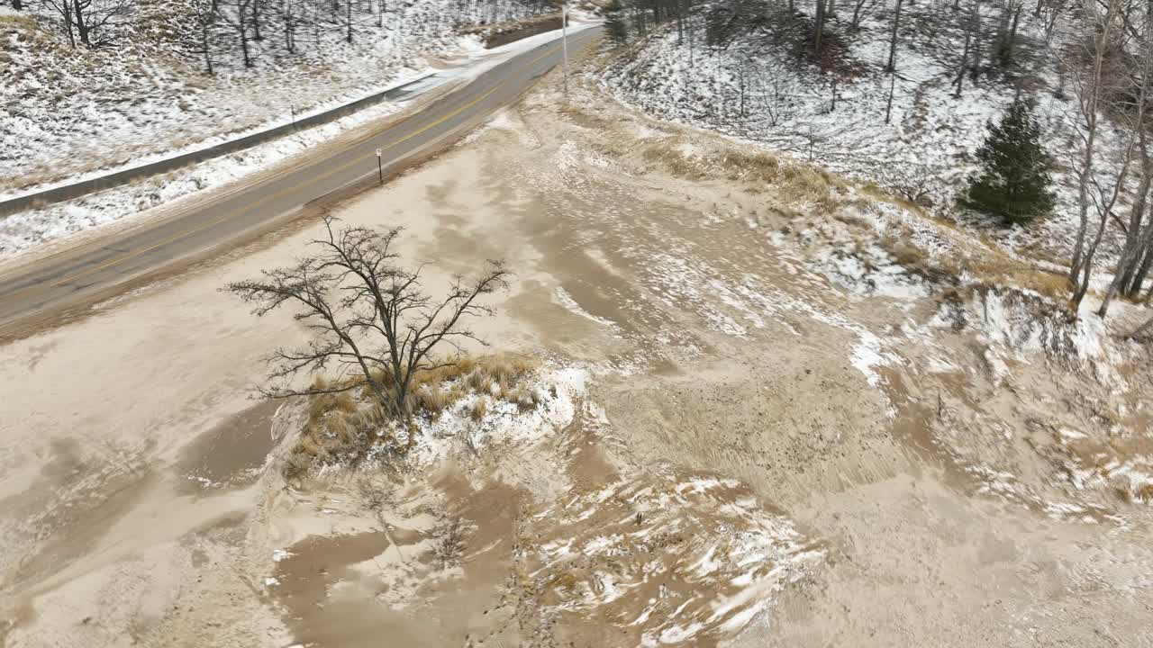 겨울에 해변에 있는 외로운 나무