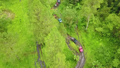 vista aérea de un avión no tripulado de 4 vehículos de conducción salvaje que cruzan en medio del bosque