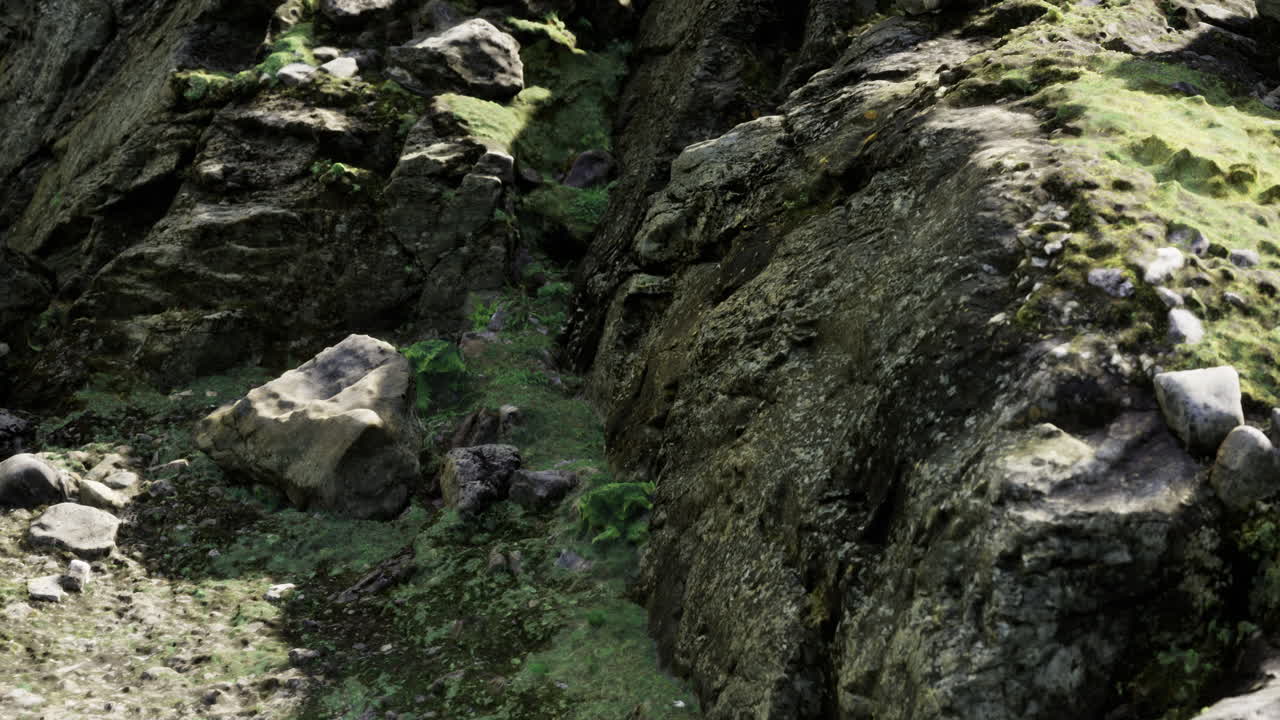 Exploring the lush rocky terrain during a serene afternoon in nature