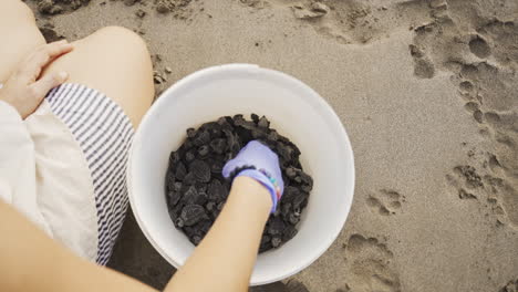 Lesen-Einer-Babyschildkröte-Aus-Einem-Weißen-Eimer-Im-Tropischen-Sandstrand