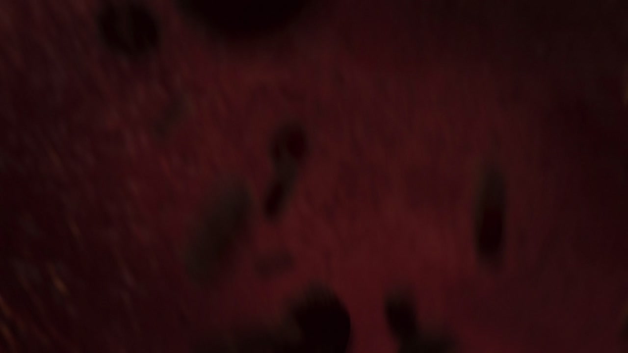 Red Blood Cells Traveling Through Circulatory System - Science Background