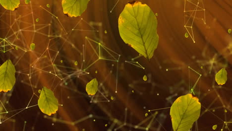 animation of green leaves falling over orange light and network of connections