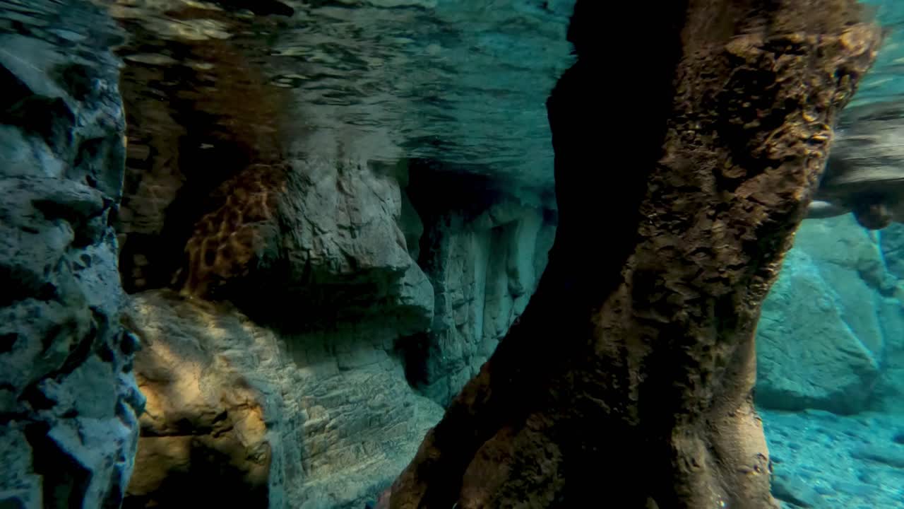 interactúa con los peces entre los arrecifes de coral.
