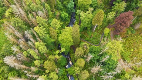 aerial view of waterfall and river flowing through forest in northern ireland - 4k