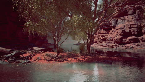 el gran cañón y el río colorado