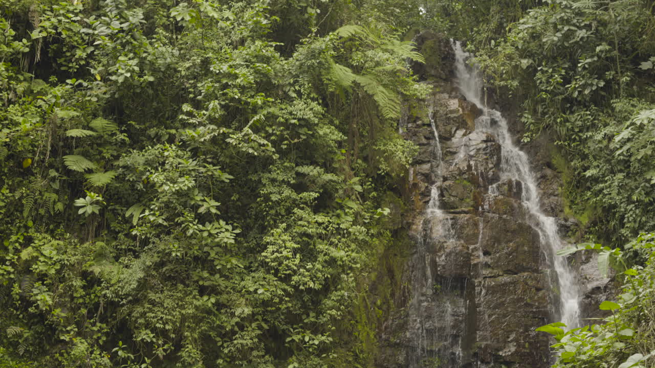 General shot, waterfall in the Amazon, Ecuador.